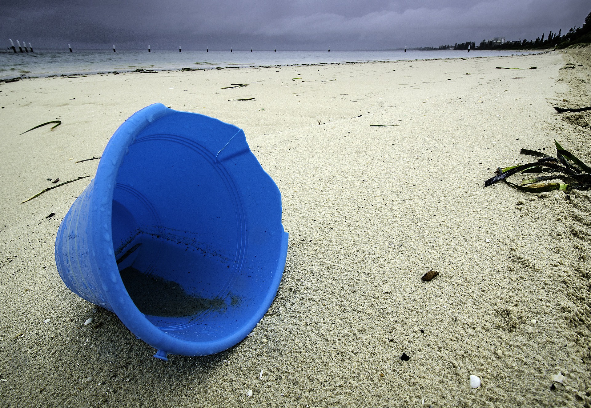 beach-617798_1920.jpg