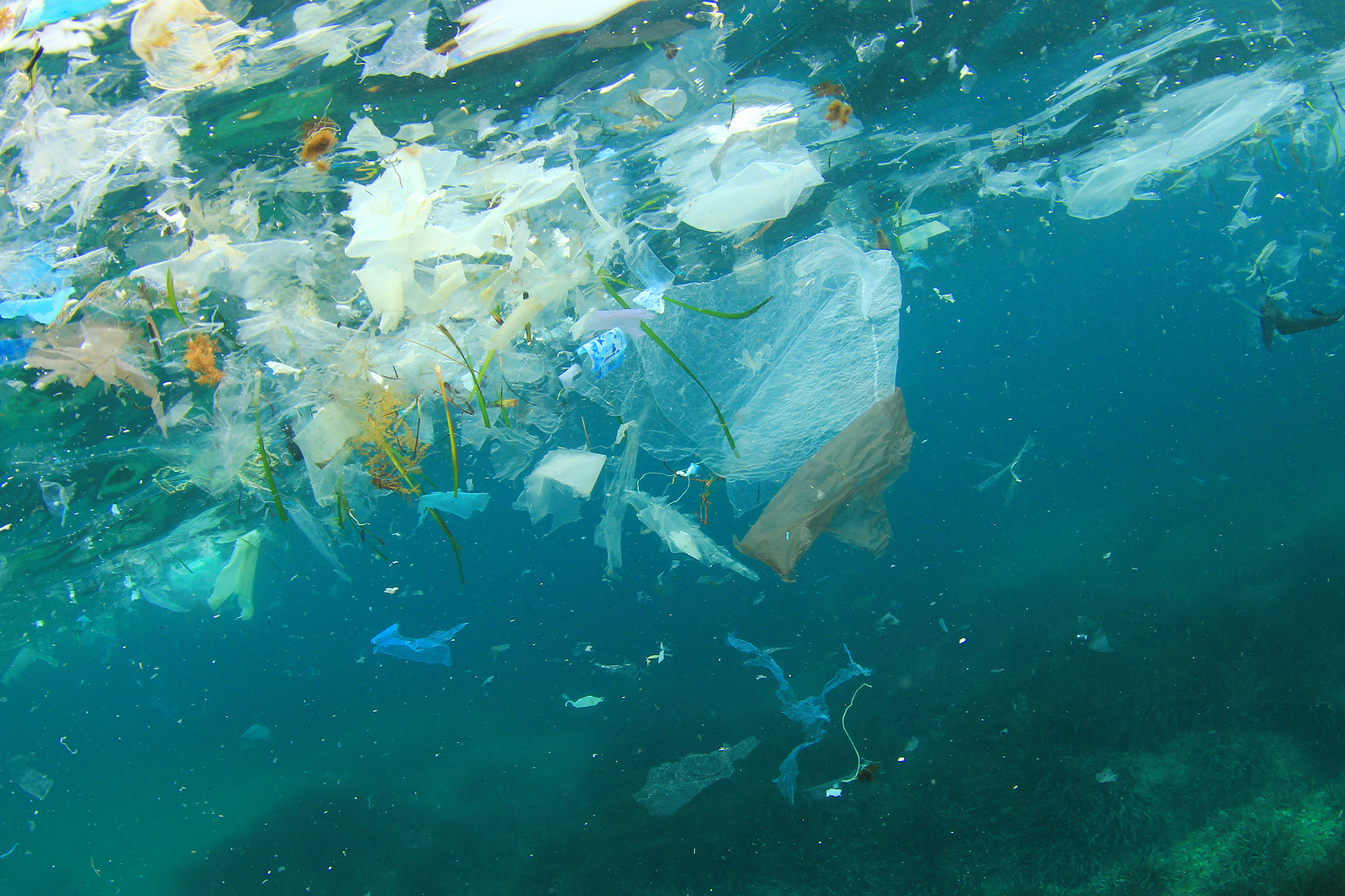 bigstock-Plastic-rubbish-pollution-in-o-131862050.jpg