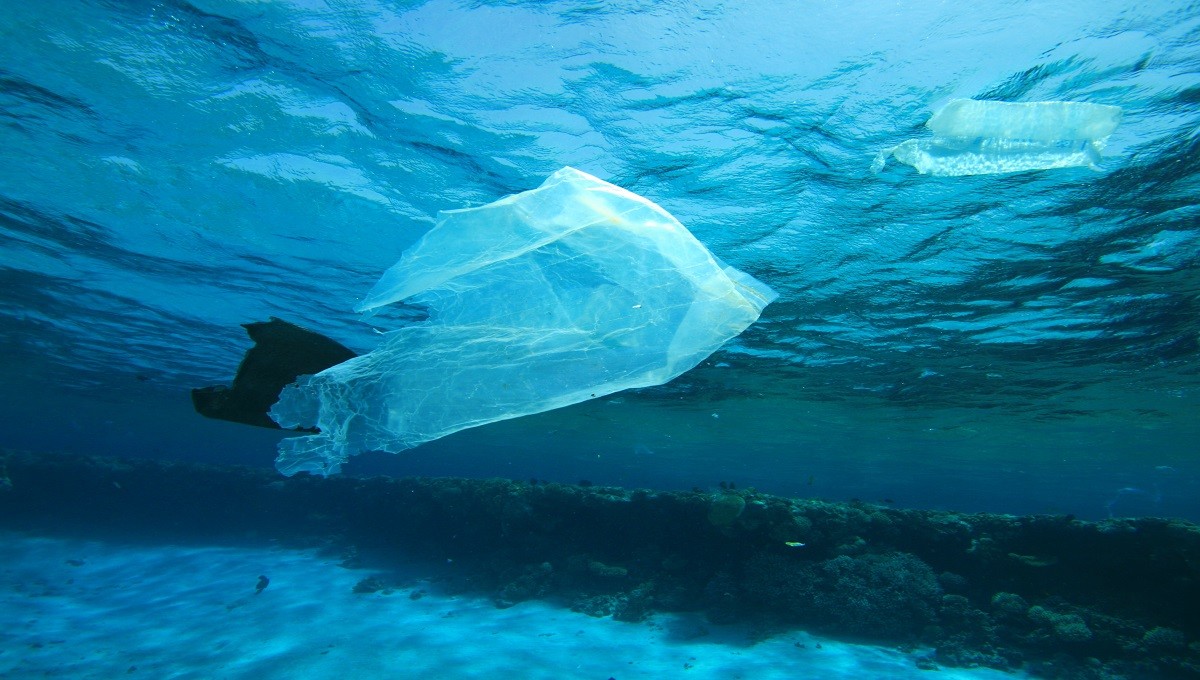 swimming-plastic-bag-1200x680.jpg