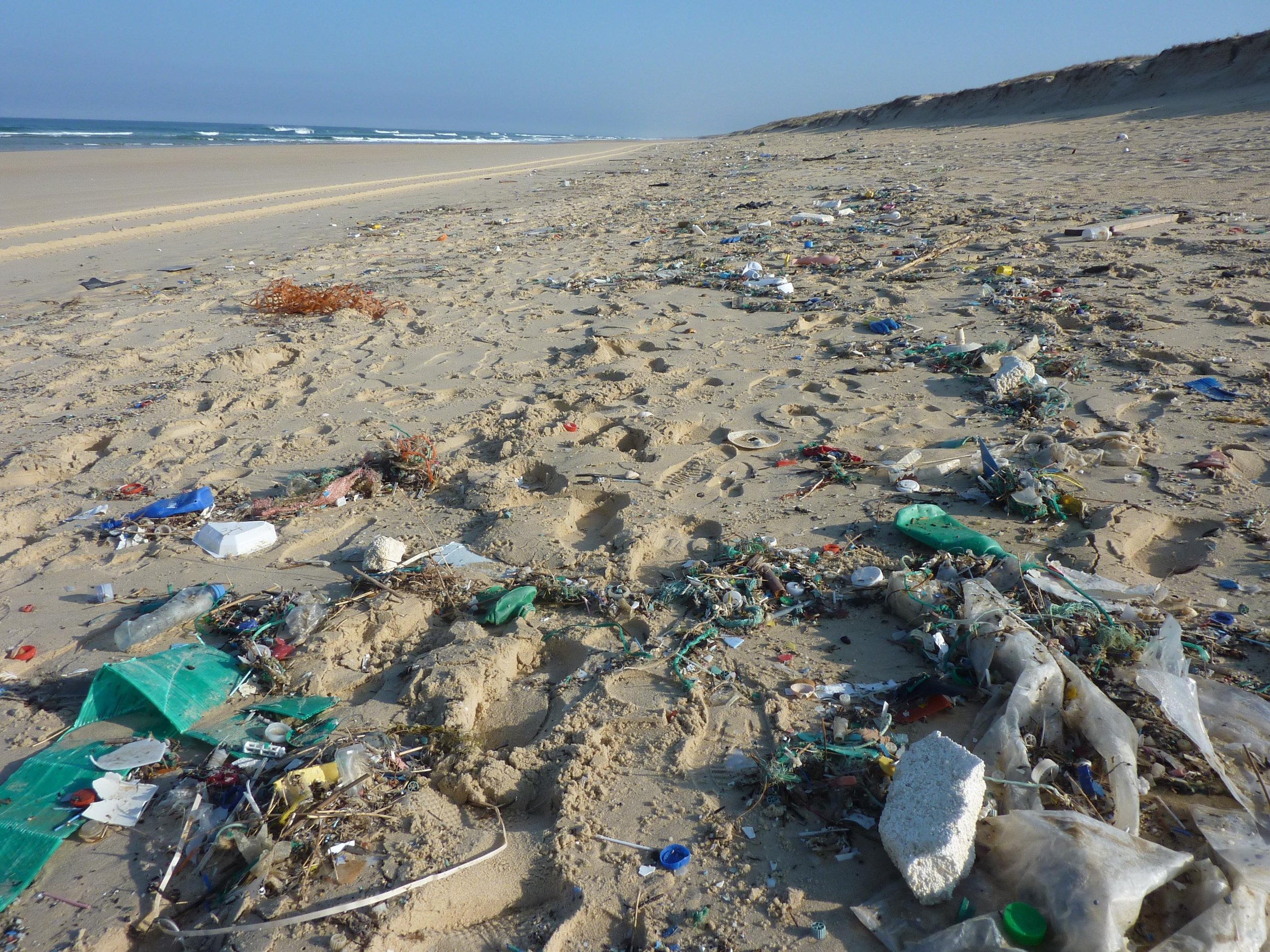 Slide 1 beach-sea-coast-waste-trash-pollution-567293-pxhere.com.jpg