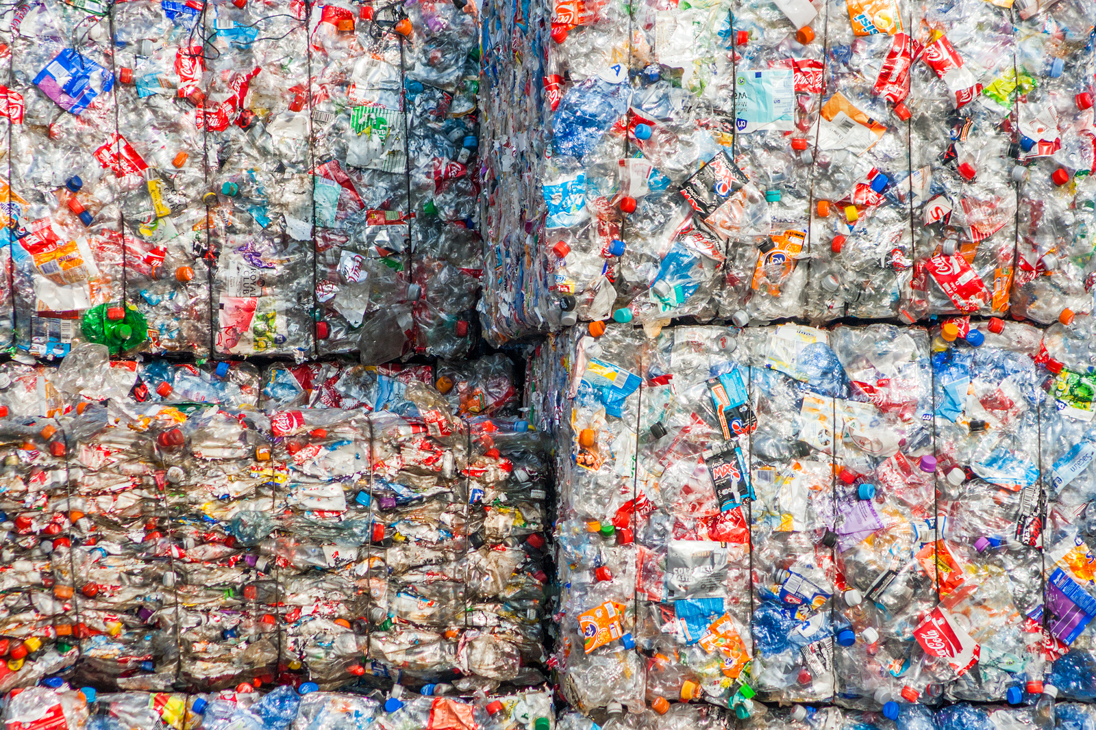 bigstock--205085776.jpg