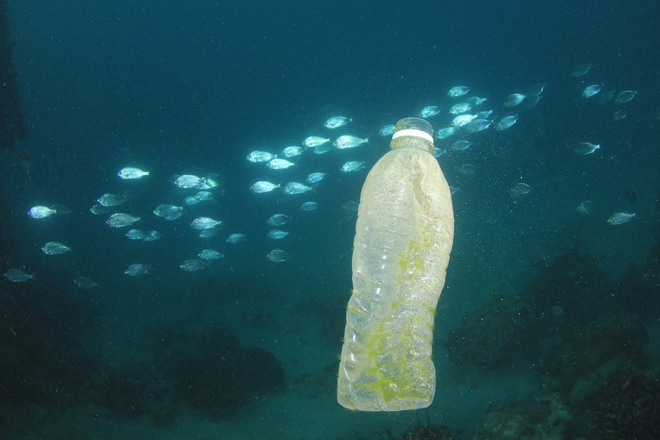 bigstock-Plastic-ocean-pollution-Plast-237699880.jpg