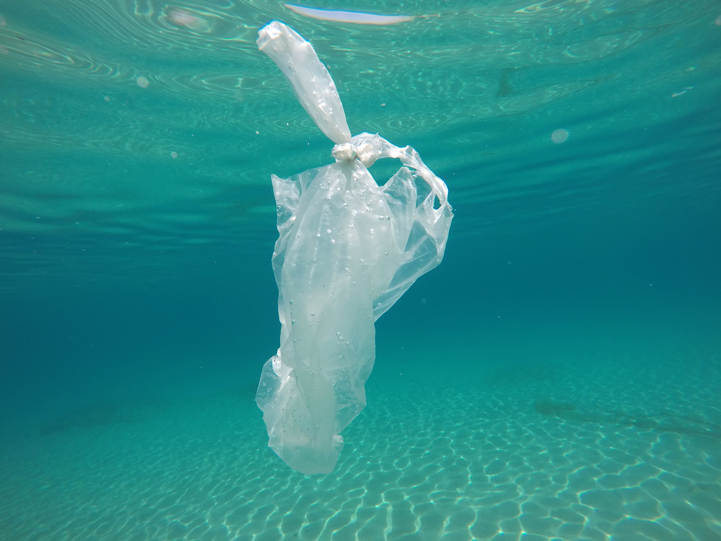 bigstock-used-plastic-package-in-the-se-243389926.jpg