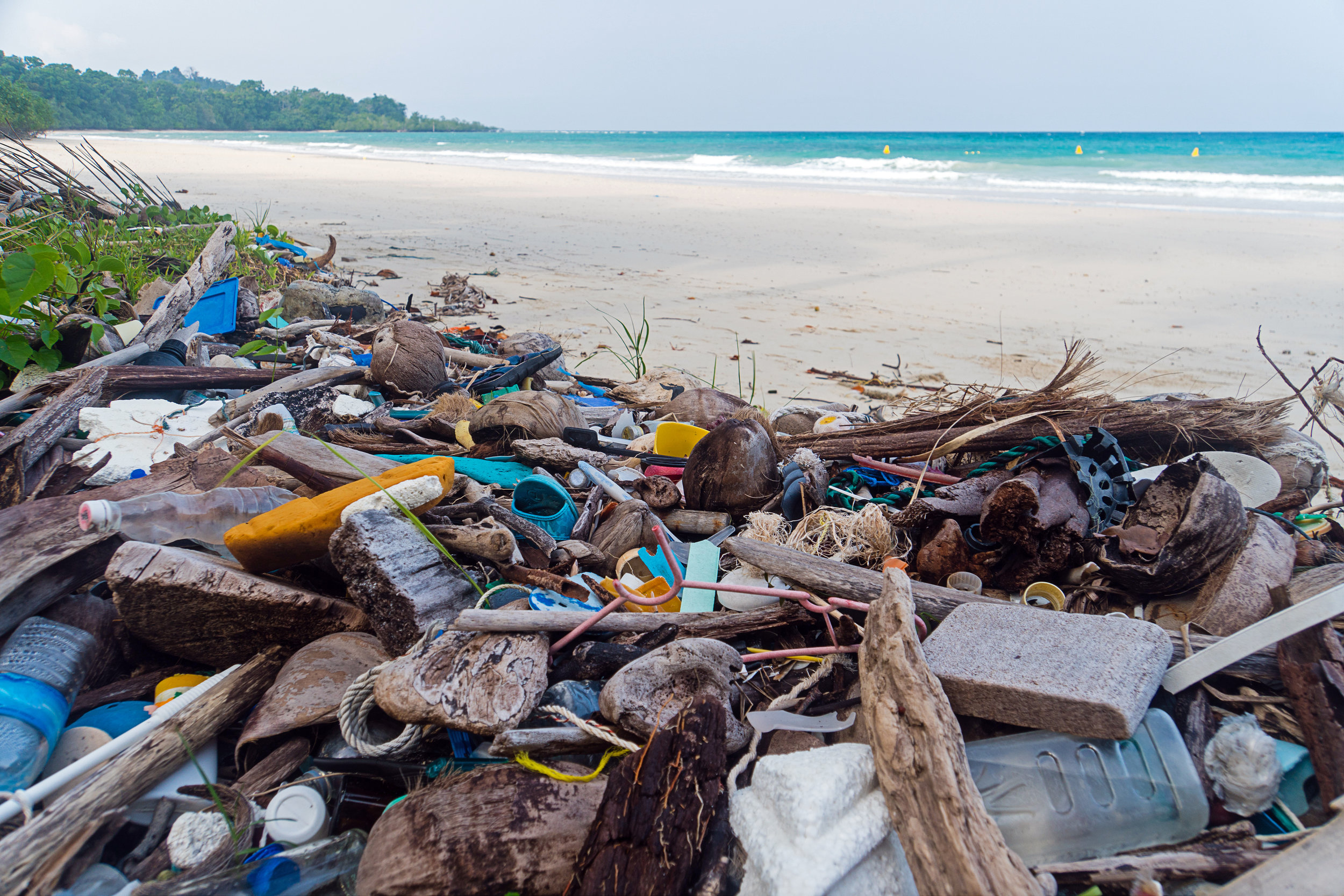 bigstock-Pollution-On-The-Beach-Of-Trop-236862403.jpg